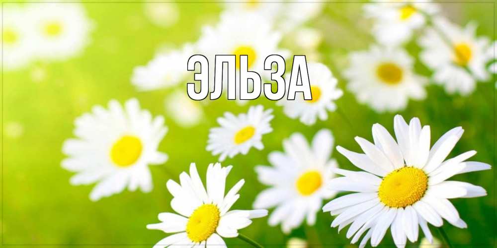 Открытка на каждый день с именем, Эльза Главная открытка с ромашками на зеленом фоне Прикольная открытка с пожеланием онлайн скачать бесплатно 