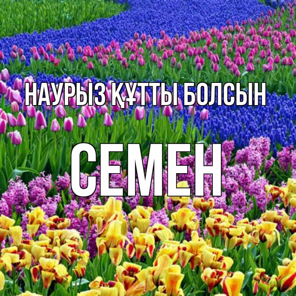 Открытка на каждый день с именем, Семен Наурыз құтты болсын цветы Прикольная открытка с пожеланием онлайн скачать бесплатно 