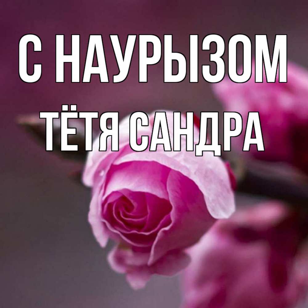 Открытка на каждый день с именем, Тётя-Сандра С наурызом весна Прикольная открытка с пожеланием онлайн скачать бесплатно 