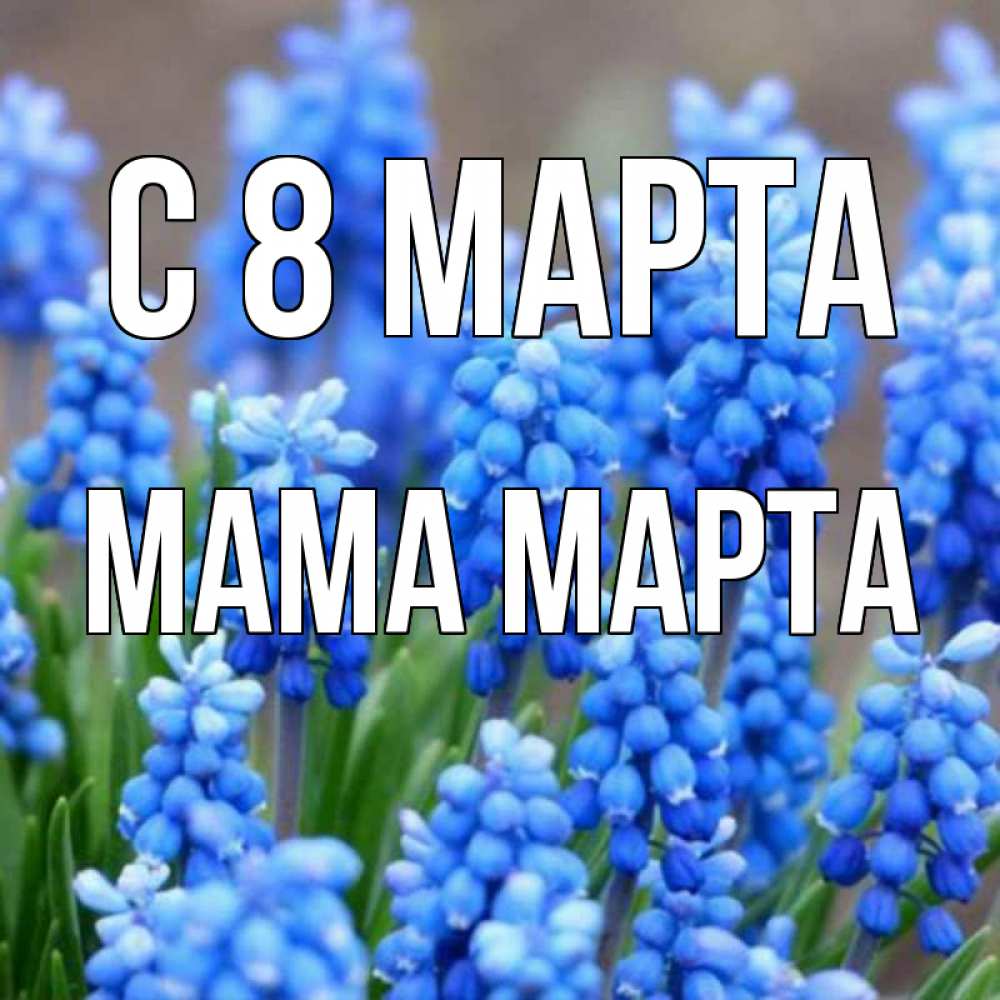 Открытка на каждый день с именем, Мама-Марта С 8 марта Поздравительная открытка для женщин с цветами на праздничную дату Прикольная открытка с пожеланием онлайн скачать бесплатно 