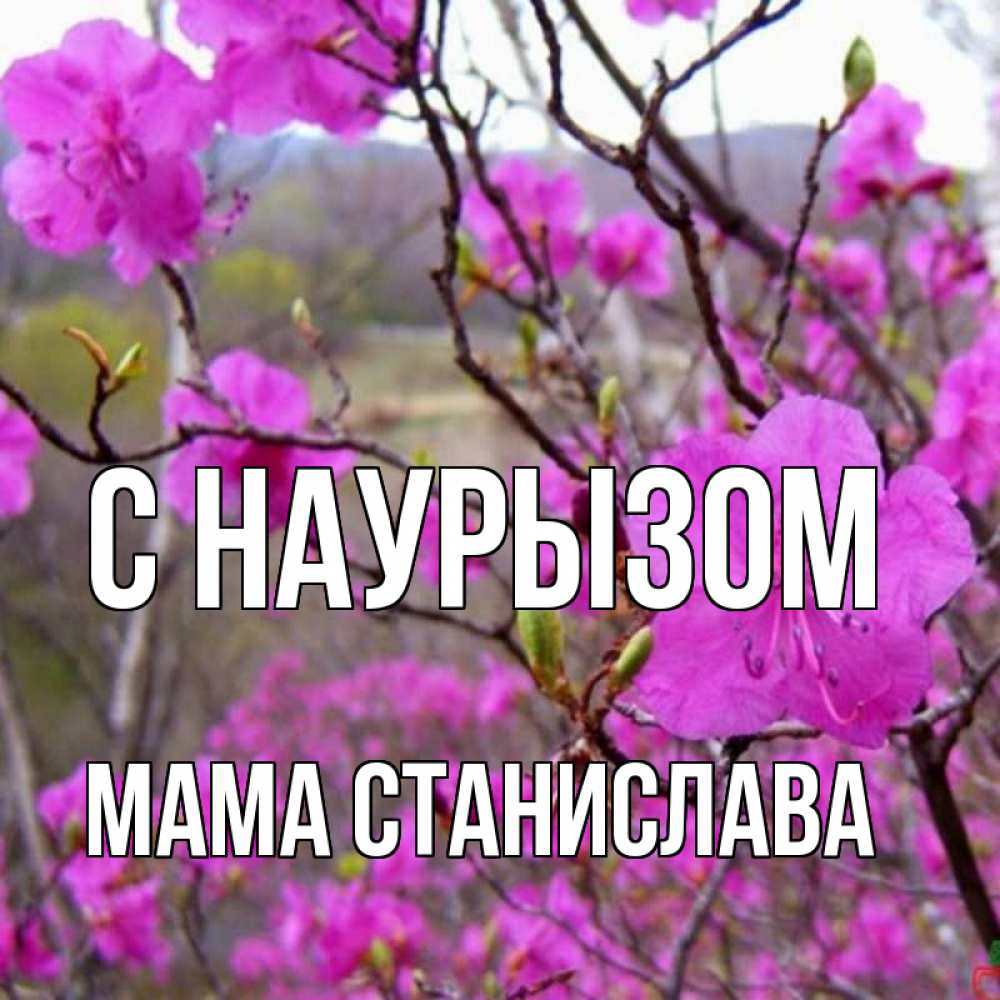 Открытка на каждый день с именем, Мама-Станислава С наурызом праздник весны наурыз Прикольная открытка с пожеланием онлайн скачать бесплатно 
