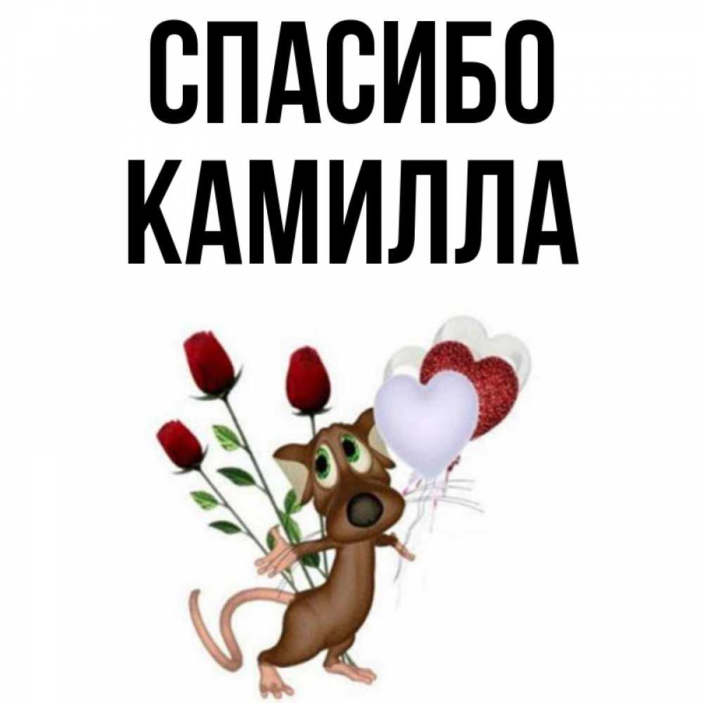 Имя камила картинки
