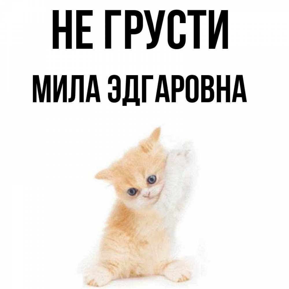Не грусти милая картинка