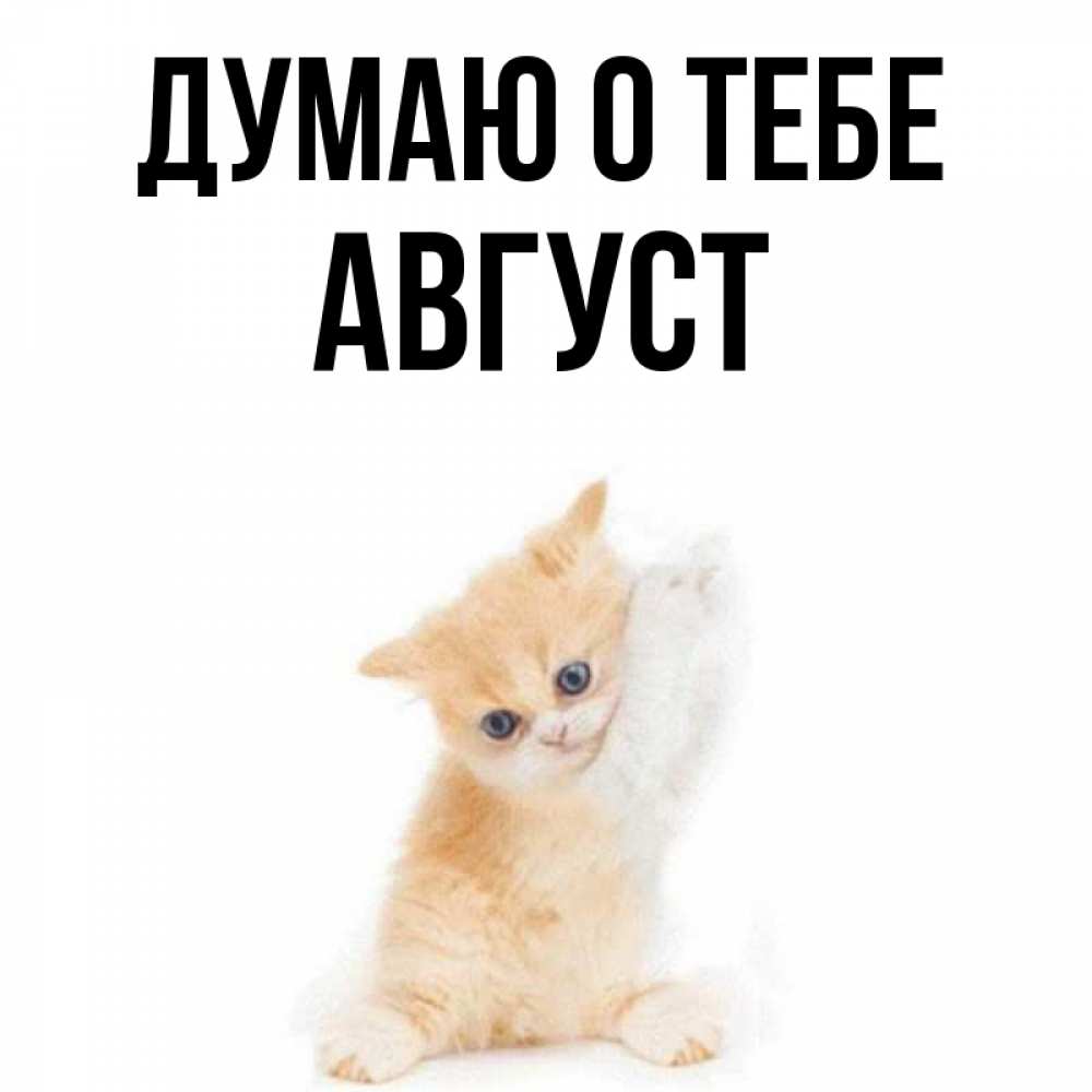 Открытка на каждый день с именем, Август Думаю о тебе зверушки и милота Прикольная открытка с пожеланием онлайн скачать бесплатно 