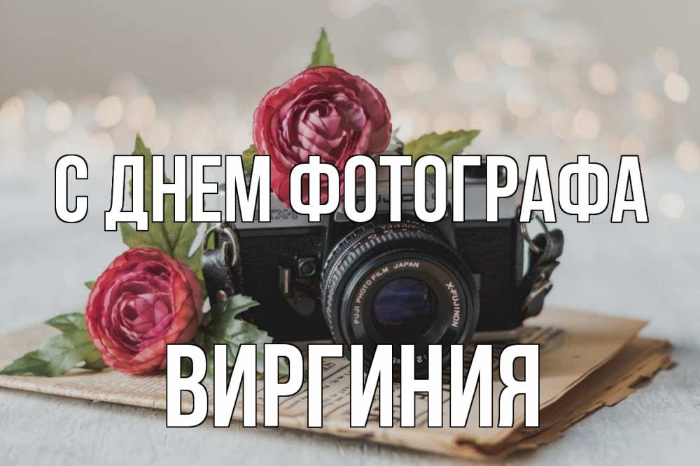 Открытка на каждый день с именем, Виргиния С днем фотографа с днем фотографа Прикольная открытка с пожеланием онлайн скачать бесплатно 