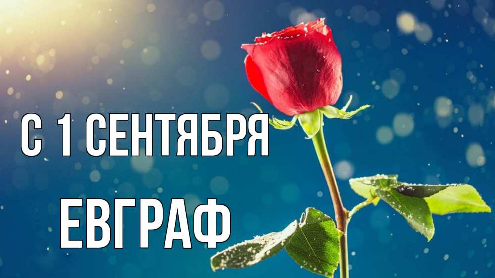 Открытка на каждый день с именем, Евграф С 1 сентября с днем знаний Прикольная открытка с пожеланием онлайн скачать бесплатно 