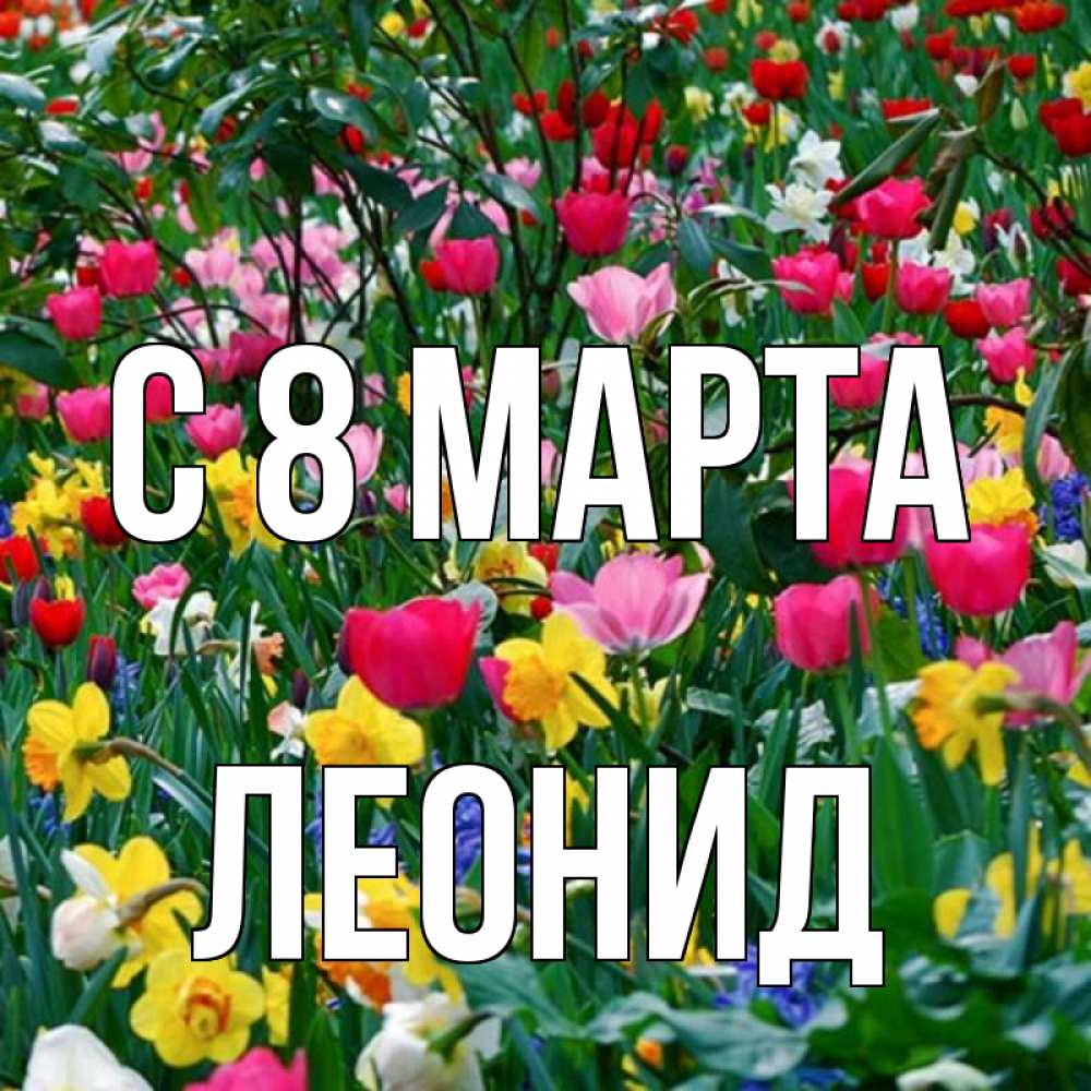 Открытка на каждый день с именем, Леонид С 8 МАРТА с международным женским днем поздравления для женщины Прикольная открытка с пожеланием онлайн скачать бесплатно 