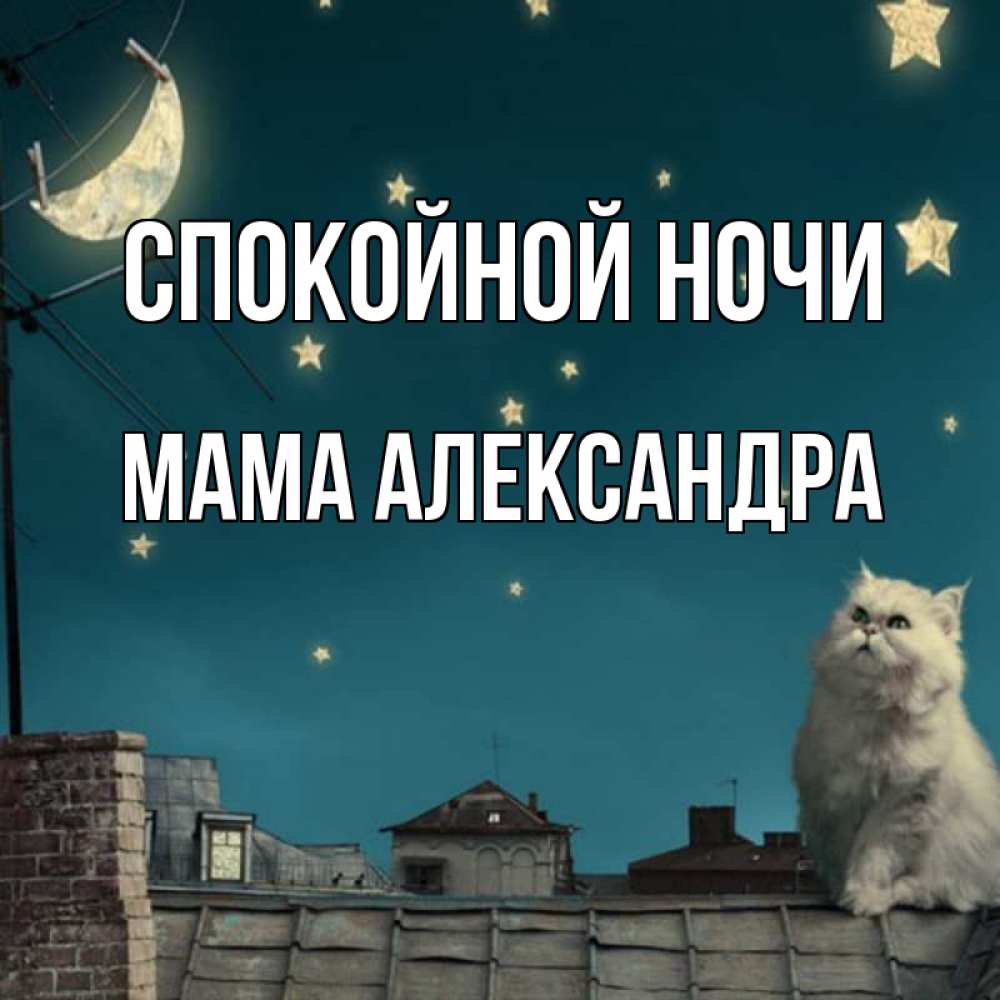 Открытка на каждый день с именем, Мама-Александра Спокойной ночи белый кот сидит на крыше Прикольная открытка с пожеланием онлайн скачать бесплатно 