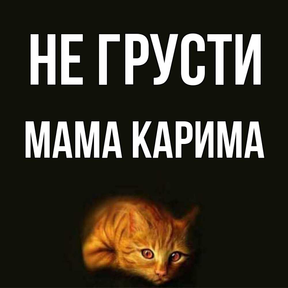 Открытка на каждый день с именем, Мама-Карима Не грусти лежащий кот в темноте Прикольная открытка с пожеланием онлайн скачать бесплатно 