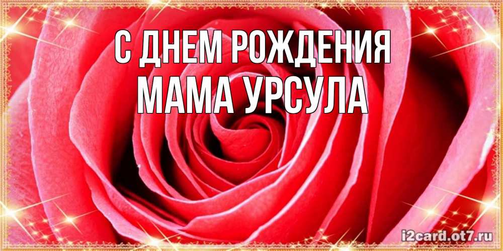 Открытка на каждый день с именем, Мама-Урсула С днем рождения розовая роза очень крупный бутон Прикольная открытка с пожеланием онлайн скачать бесплатно 