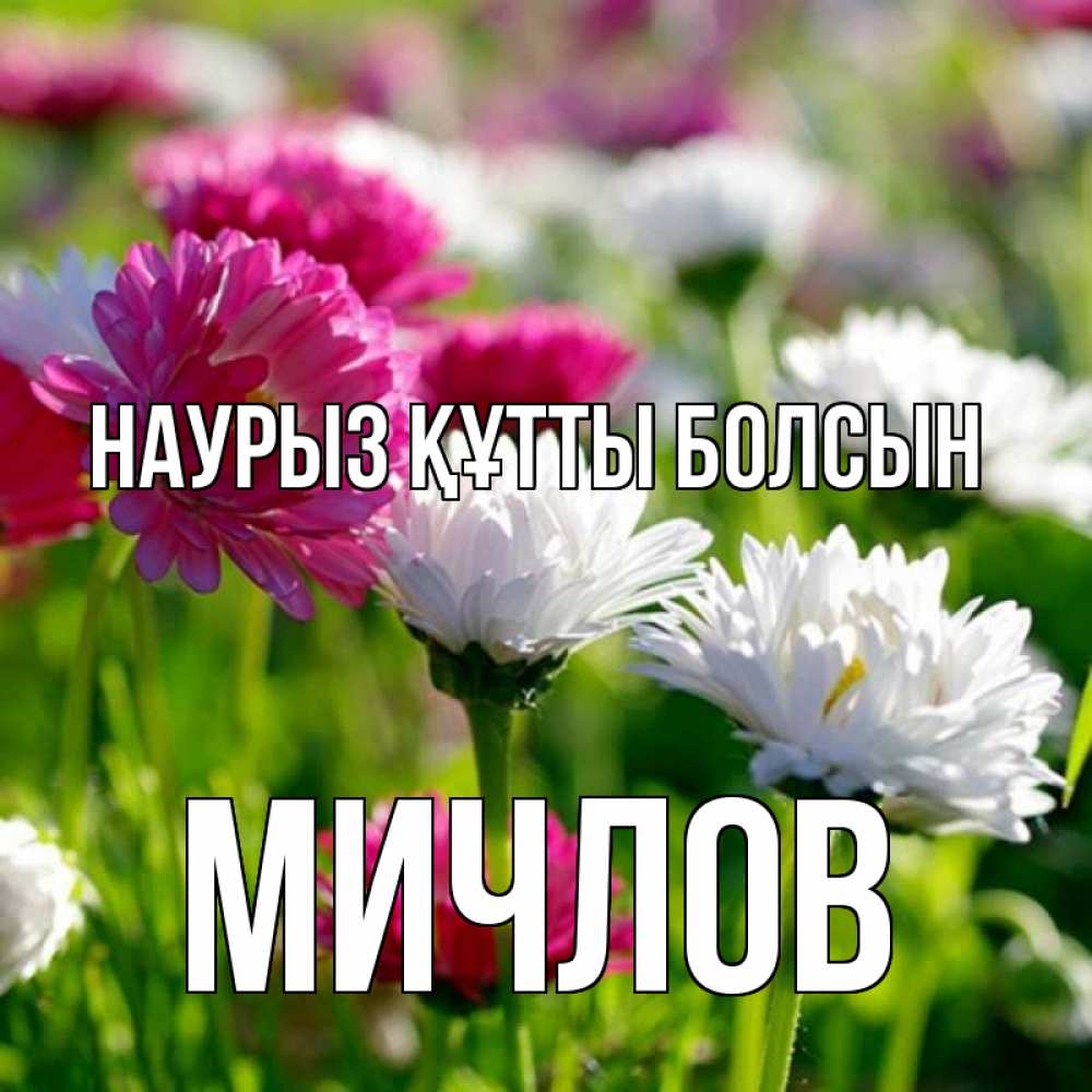 Открытка на каждый день с именем, Мичлов Наурыз құтты болсын наурыз Прикольная открытка с пожеланием онлайн скачать бесплатно 