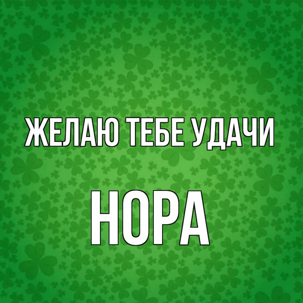 Открытка на каждый день с именем, Нора Желаю тебе удачи много листочков на удачу Прикольная открытка с пожеланием онлайн скачать бесплатно 