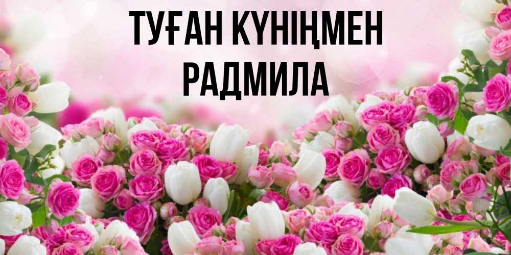 Открытка на каждый день с именем, Радмила Туған күніңмен открытка с разными розами Прикольная открытка с пожеланием онлайн скачать бесплатно 