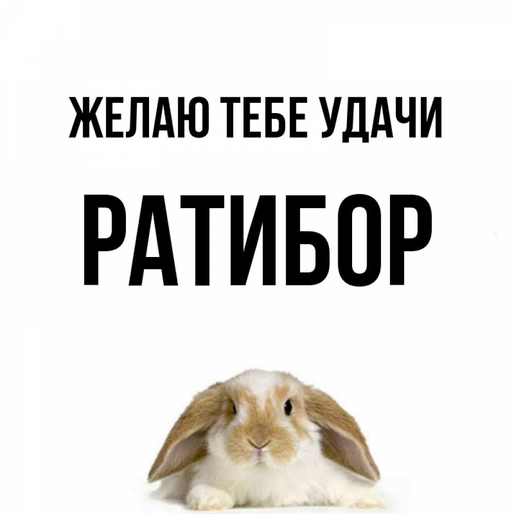 Открытка на каждый день с именем, Ратибор Желаю тебе удачи открытки с произвольным текстом который можно вставить в открытку и создать ее самостоятельно бесплатно онлайн Прикольная открытка с пожеланием онлайн скачать бесплатно 