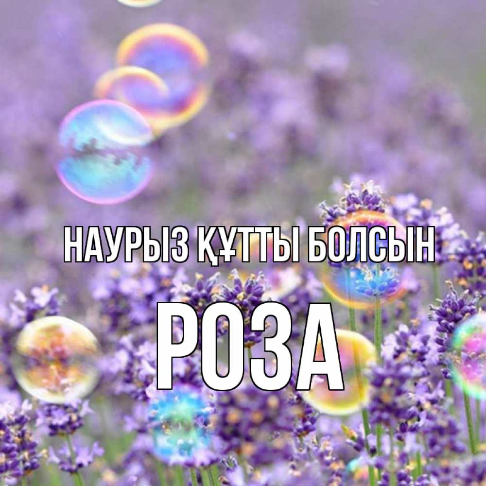 Открытка на каждый день с именем, Роза Наурыз құтты болсын цветы Прикольная открытка с пожеланием онлайн скачать бесплатно 