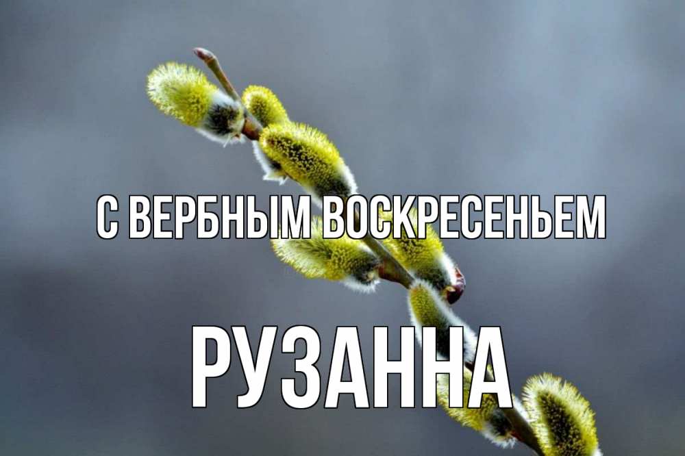 Открытка на каждый день с именем, Рузанна С вербным воскресеньем верба Прикольная открытка с пожеланием онлайн скачать бесплатно 