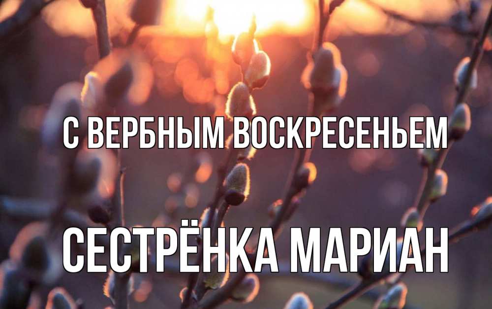 Открытка на каждый день с именем, Сестрёнка-Мариан С вербным воскресеньем верба Прикольная открытка с пожеланием онлайн скачать бесплатно 
