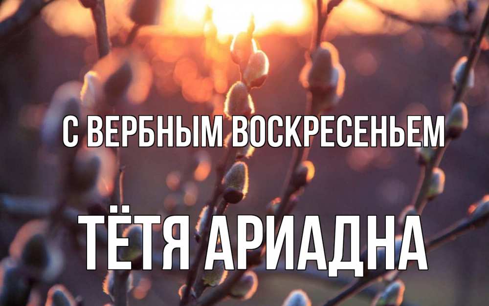 Открытка на каждый день с именем, Тётя-Ариадна С вербным воскресеньем верба Прикольная открытка с пожеланием онлайн скачать бесплатно 