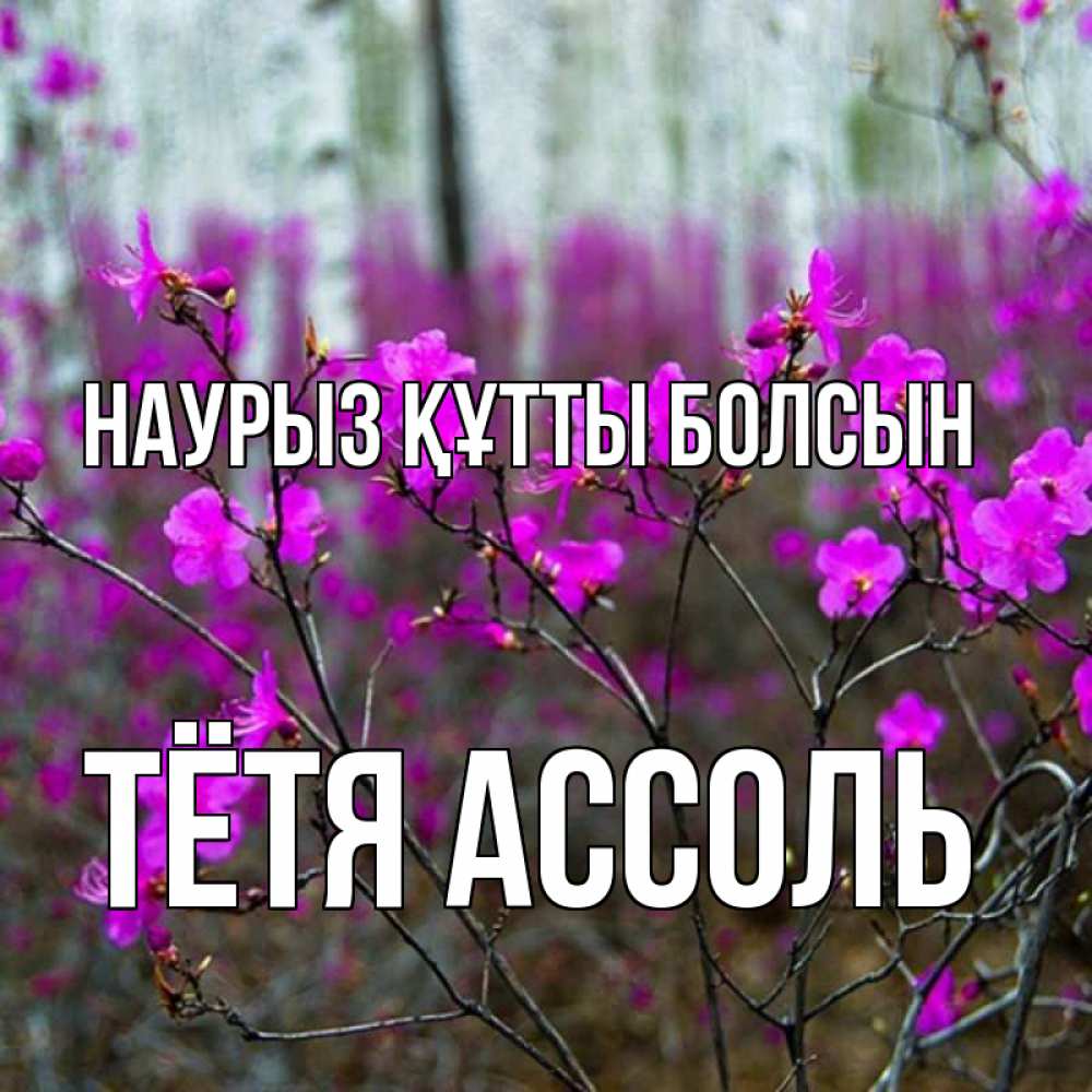Открытка на каждый день с именем, Тётя-Ассоль Наурыз құтты болсын дикие цветы Прикольная открытка с пожеланием онлайн скачать бесплатно 