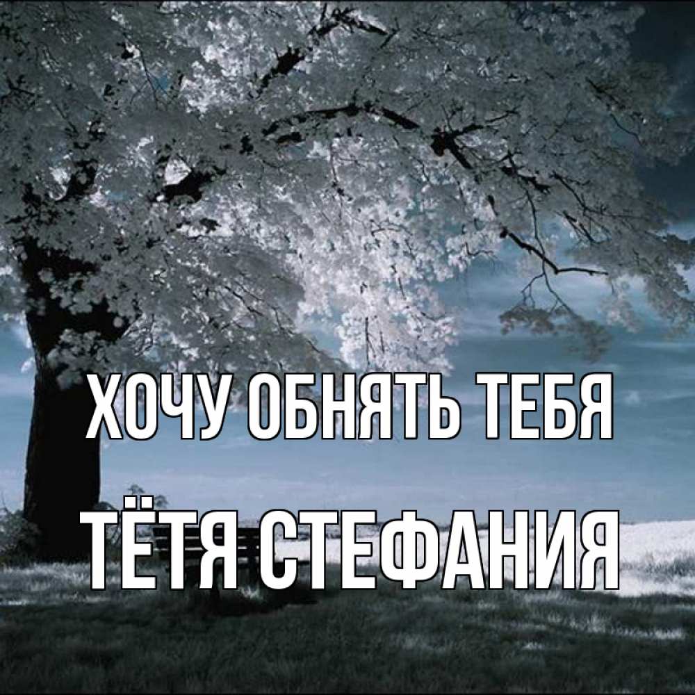 Открытка на каждый день с именем, Тётя-Стефания Хочу обнять тебя дерево Прикольная открытка с пожеланием онлайн скачать бесплатно 