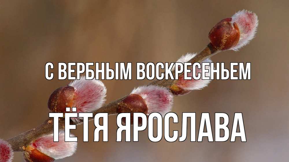 Открытка на каждый день с именем, Тётя-Ярослава С вербным воскресеньем верба Прикольная открытка с пожеланием онлайн скачать бесплатно 