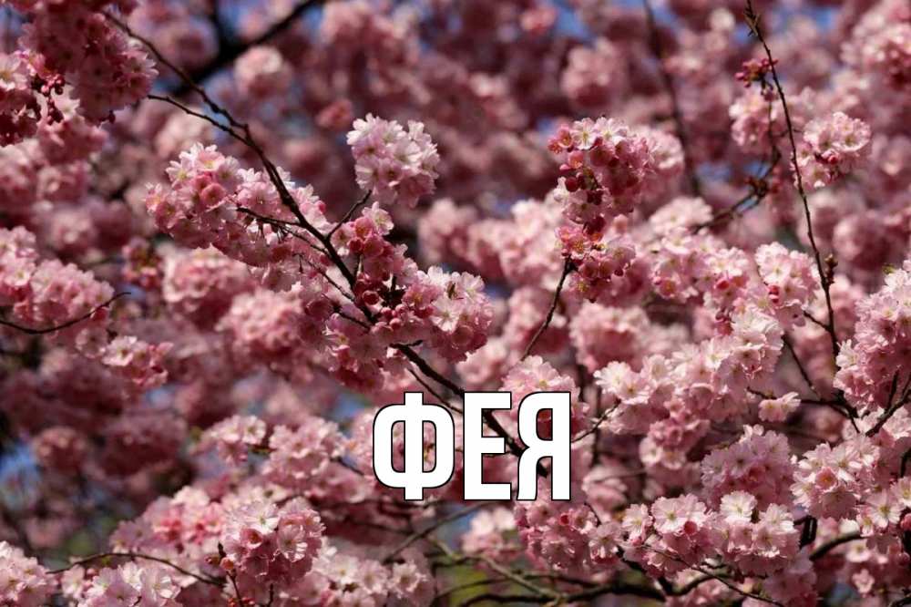 Открытка на каждый день с именем, Фея Главная С 1 мая Прикольная открытка с пожеланием онлайн скачать бесплатно 