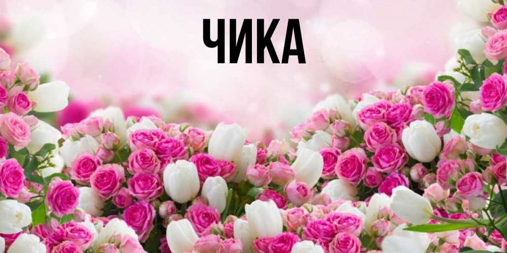 Открытка на каждый день с именем, Чика Главная открытка с разными розами Прикольная открытка с пожеланием онлайн скачать бесплатно 