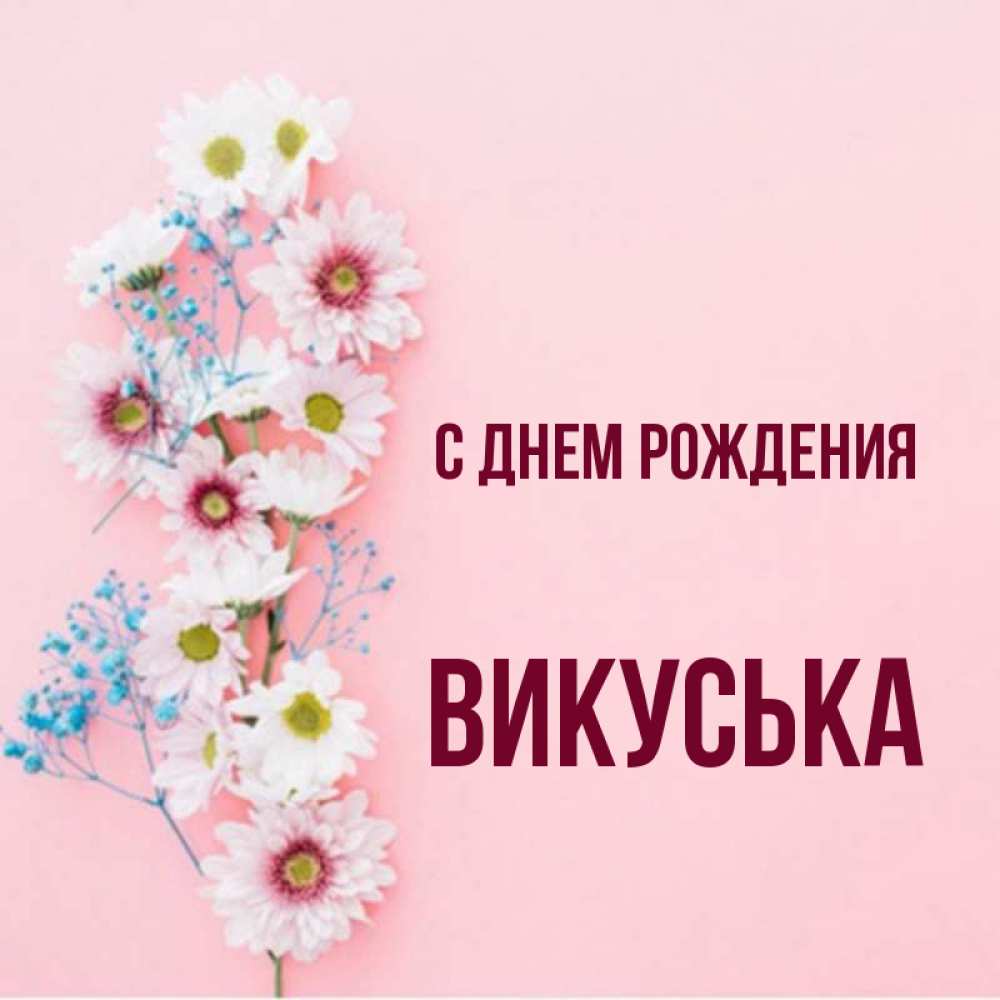 Викуська с днем рождения картинки