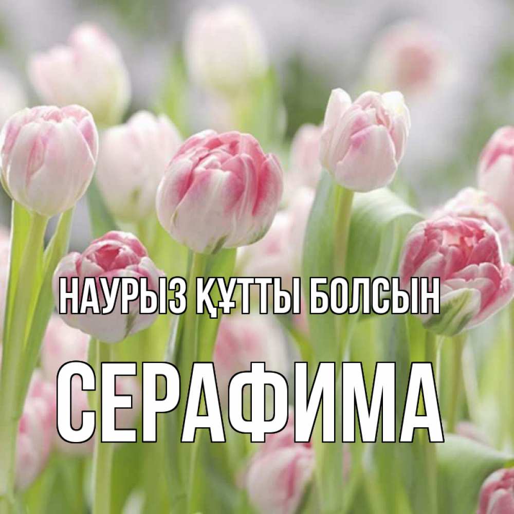 Открытка на каждый день с именем, Серафима Наурыз құтты болсын цветы Прикольная открытка с пожеланием онлайн скачать бесплатно 