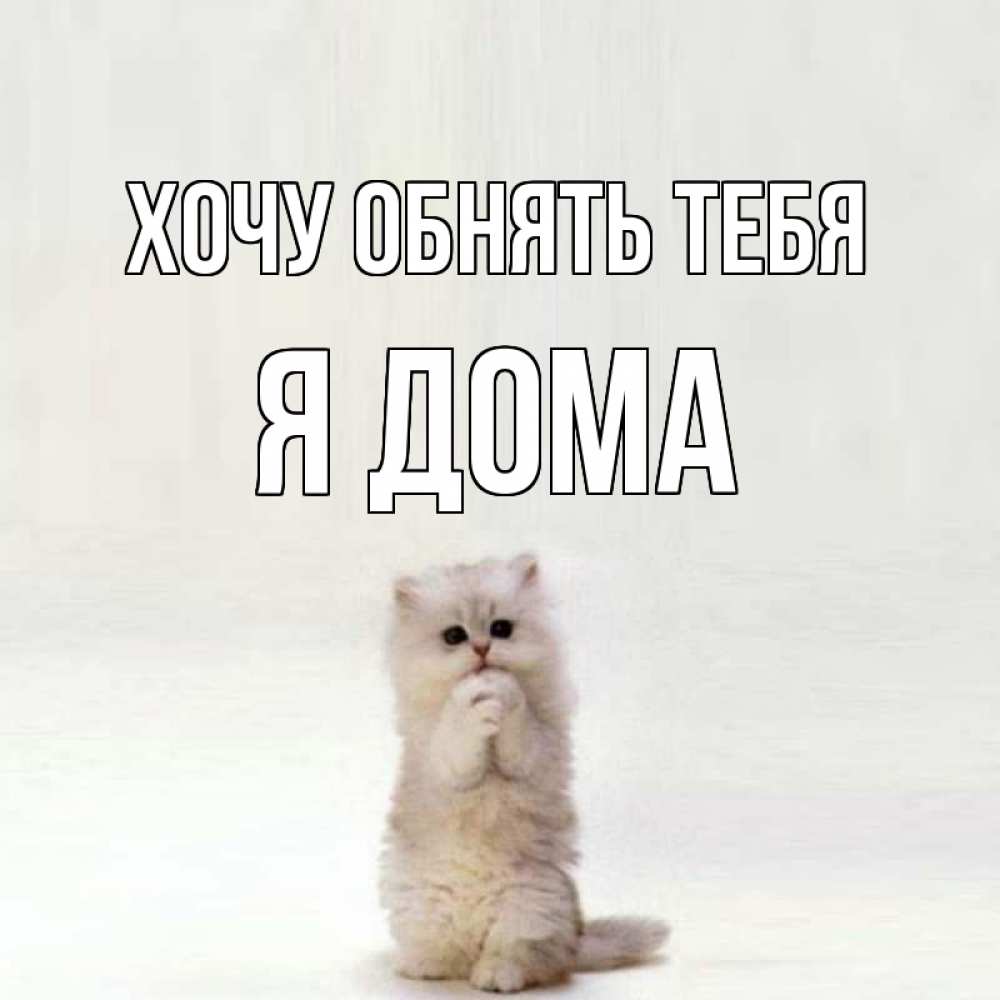 Гифки хочу к тебе