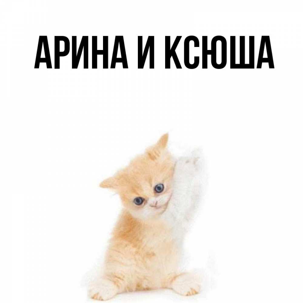 Открытка на каждый день с именем, Арина-и-Ксюша Главная я хочу очень скорее обнимаешек Прикольная открытка с пожеланием онлайн скачать бесплатно 