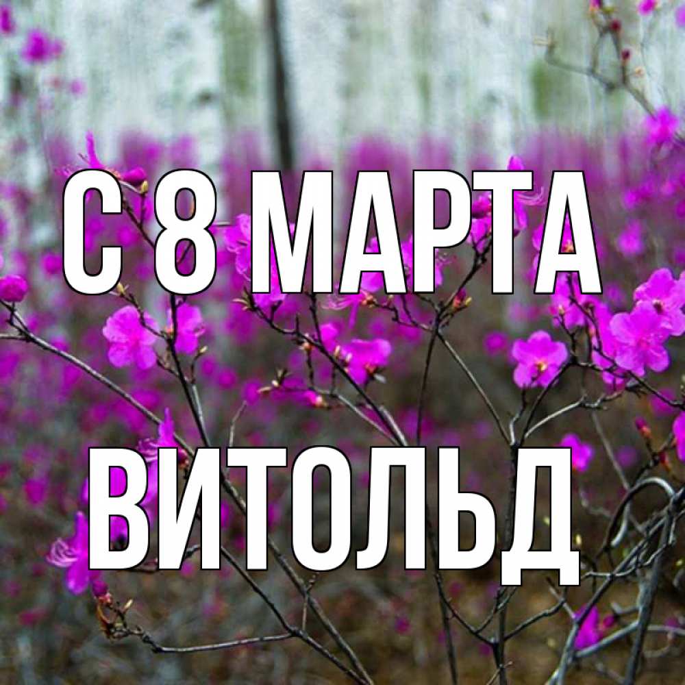Картинка С 8 МАРТА, Витольд