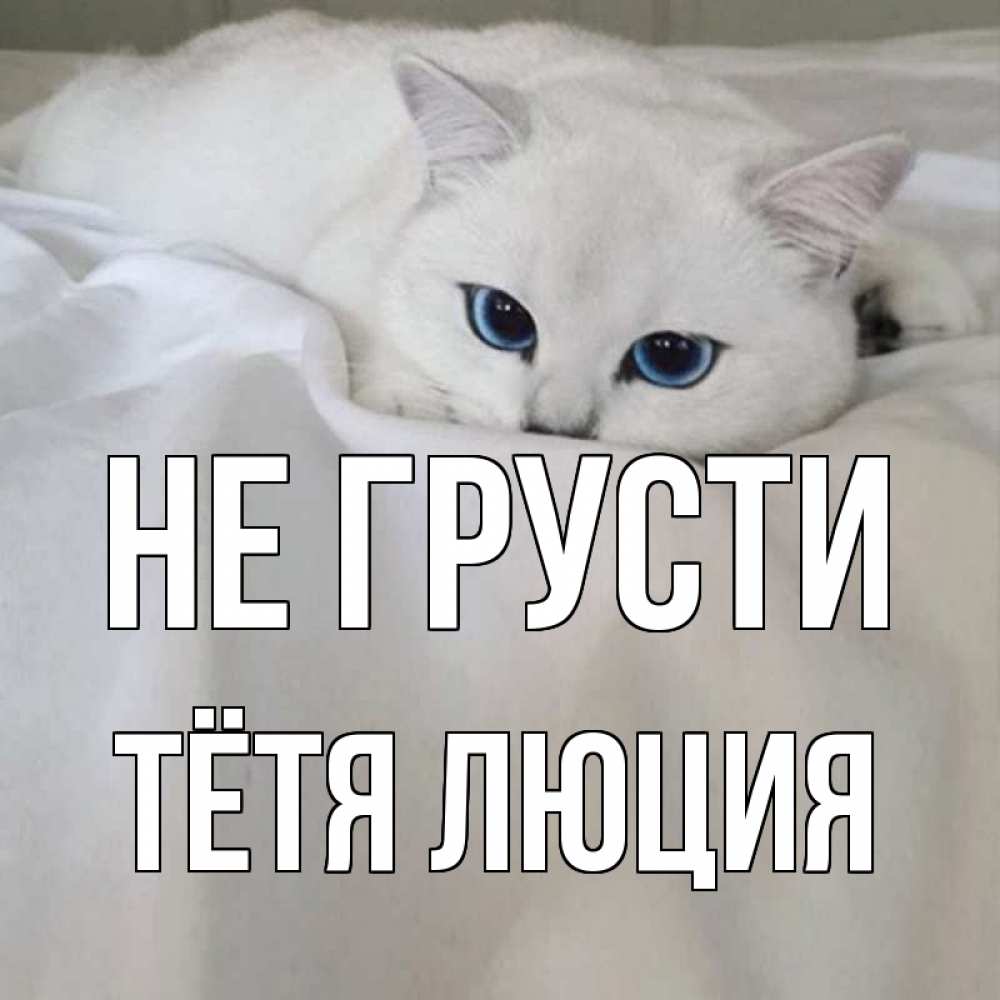 Открытка на каждый день с именем, Тётя-Люция Не грусти белый кот с голубыми глазами на белоснежной кровати Прикольная открытка с пожеланием онлайн скачать бесплатно 