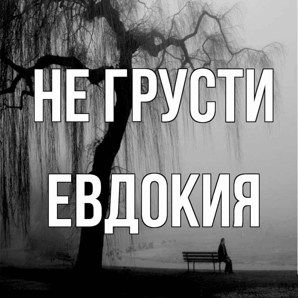 Открытка на каждый день с именем, Евдокия Не грусти висящие ветки дерева и лавочка под деревом Прикольная открытка с пожеланием онлайн скачать бесплатно 
