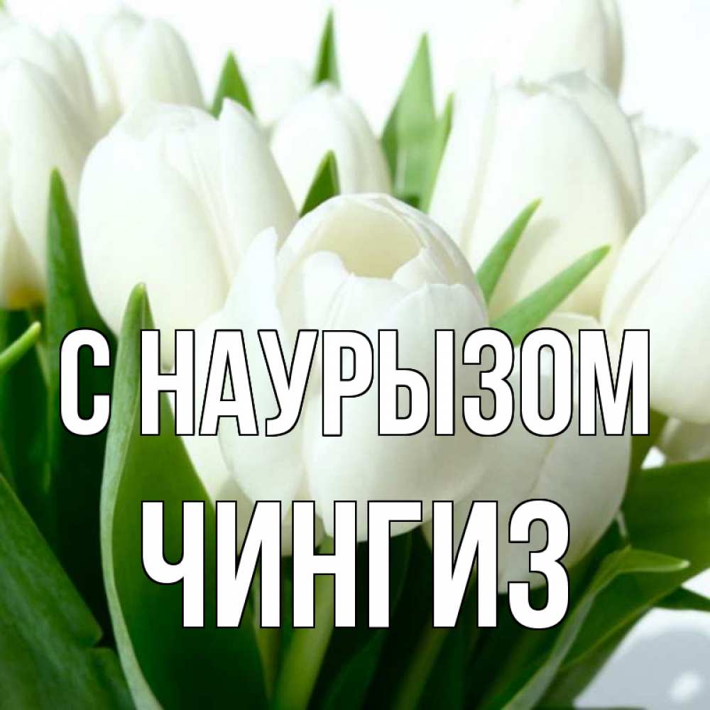 Открытка на каждый день с именем, Чингиз С наурызом цветы Прикольная открытка с пожеланием онлайн скачать бесплатно 