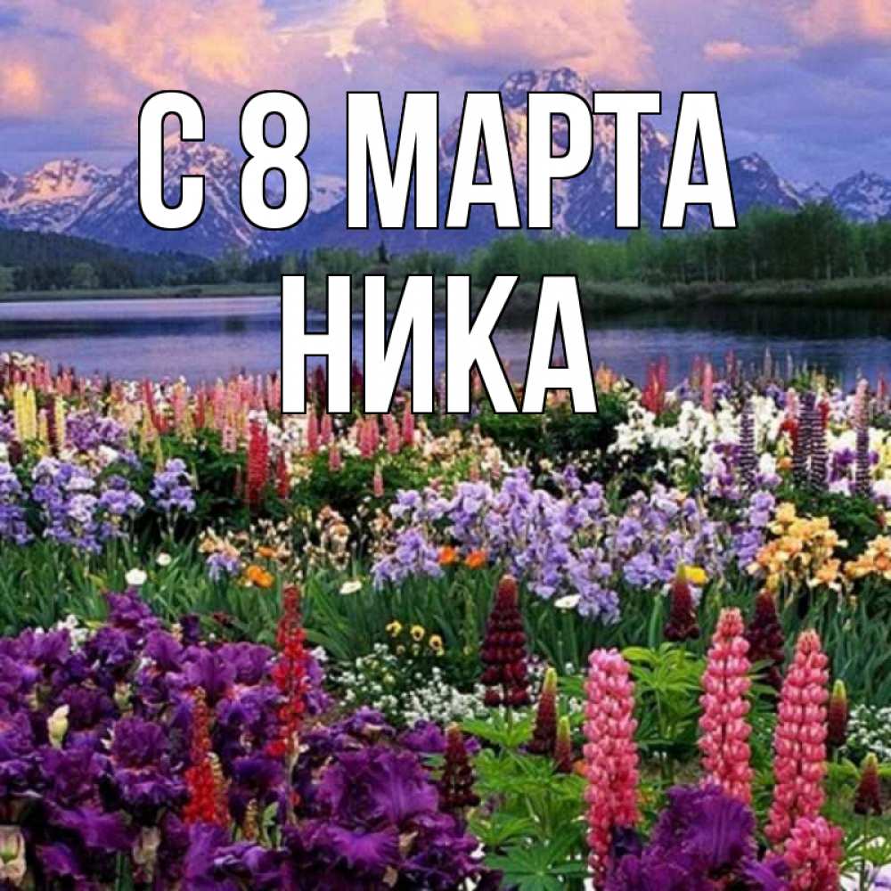 Открытка на каждый день с именем, Ника С 8 МАРТА международный женский день Прикольная открытка с пожеланием онлайн скачать бесплатно 