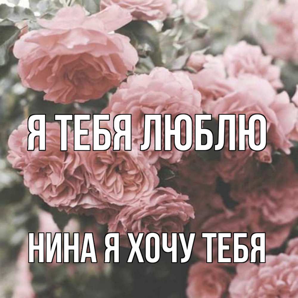я тебя хочу антон прикольно картинки гербариев, насекомых, скелетов