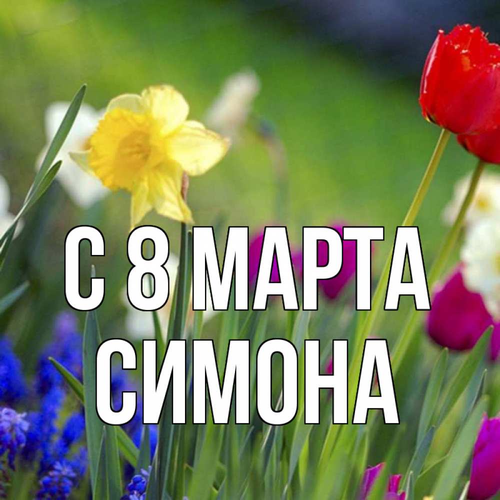 Картинка С 8 МАРТА, Симона
