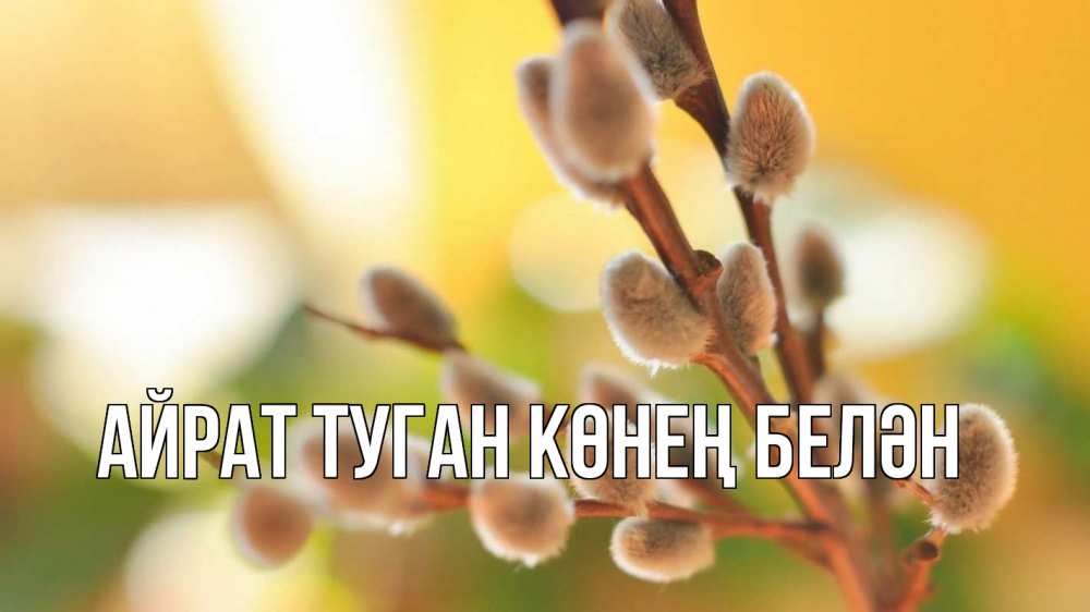 Открытка на каждый день с именем, Айрат-туган-көнең-белән Главная верба 1 Прикольная открытка с пожеланием онлайн скачать бесплатно 