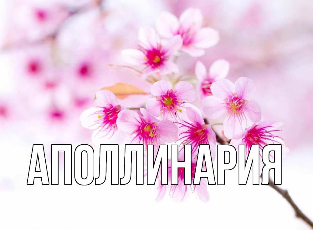 Открытка на каждый день с именем, Аполлинария Главная С 1 мая 2 Прикольная открытка с пожеланием онлайн скачать бесплатно 