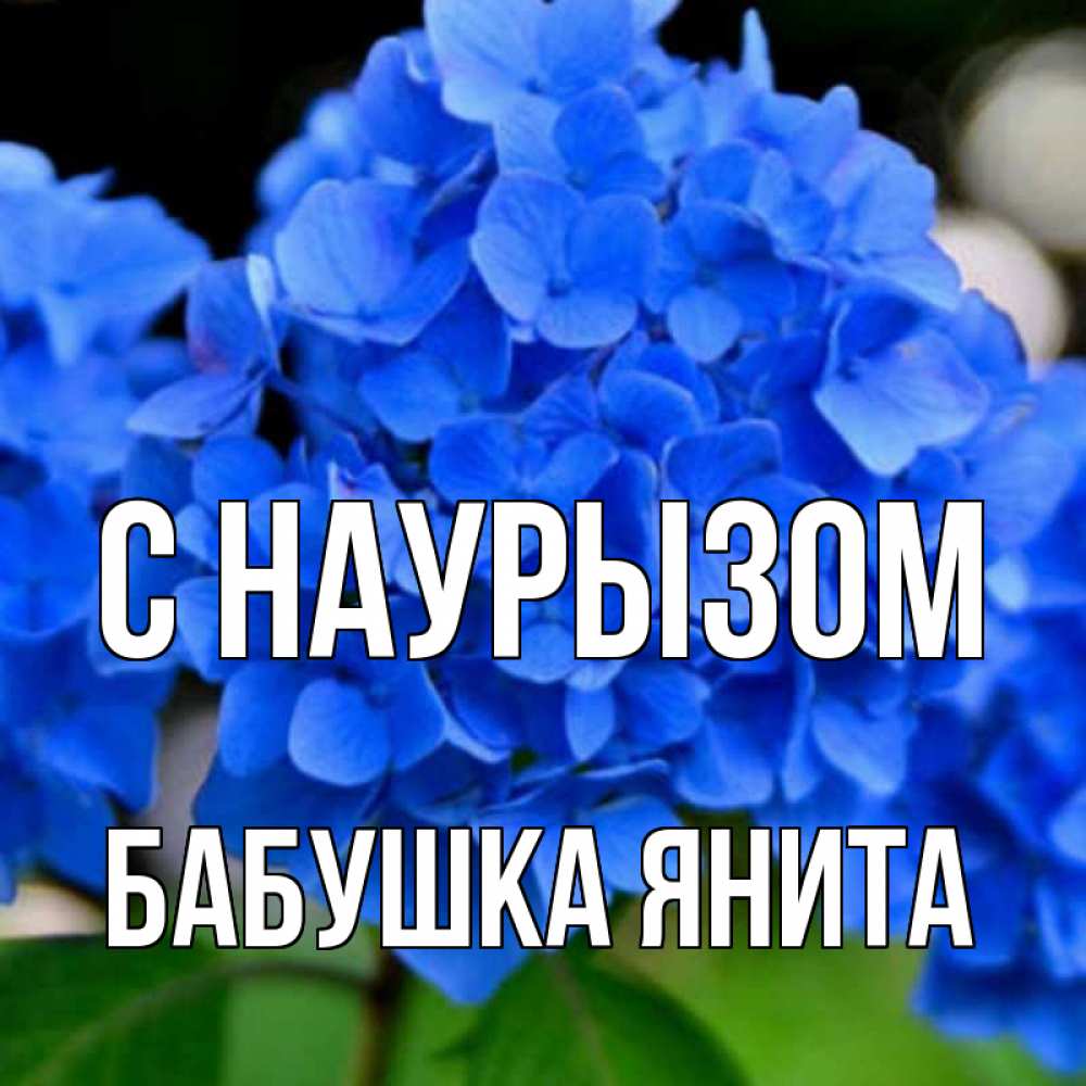 Открытка на каждый день с именем, Бабушка-Янита С наурызом синие цветы Прикольная открытка с пожеланием онлайн скачать бесплатно 