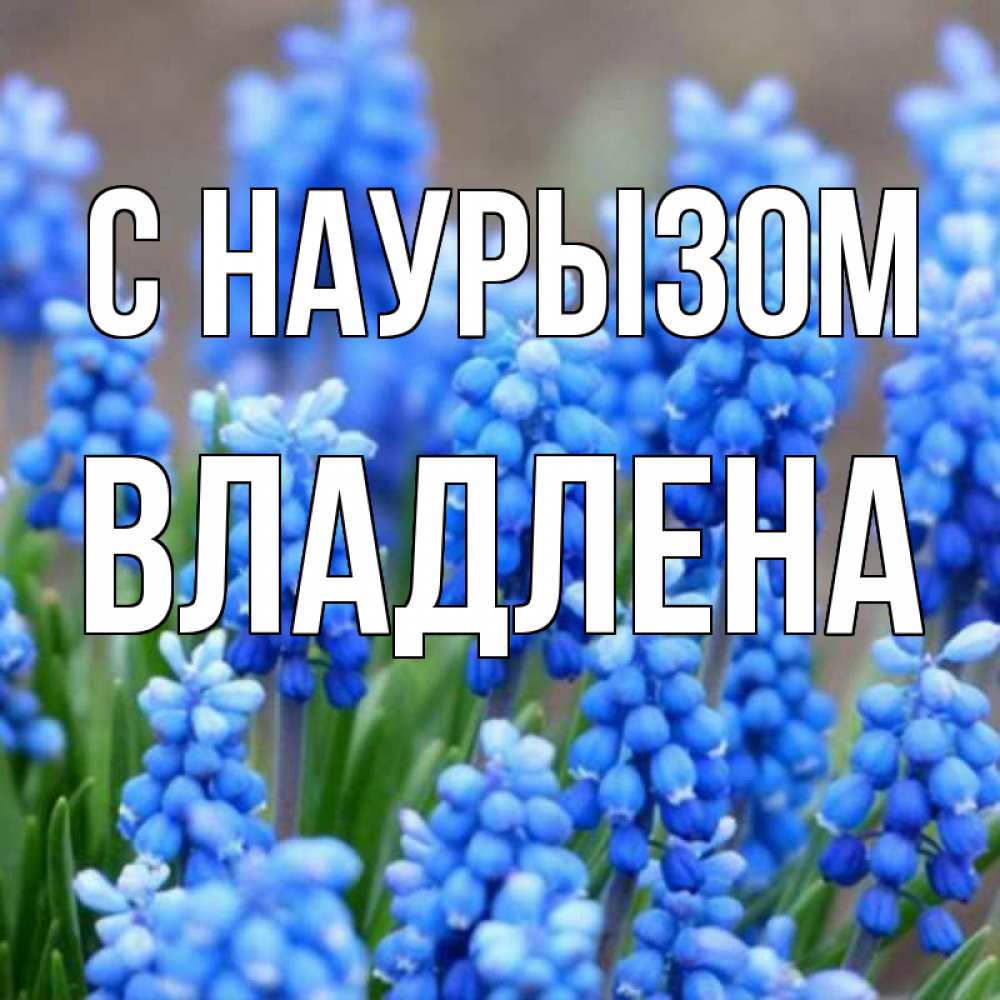 Открытка на каждый день с именем, Владлена С наурызом Поздравительная открытка для женщин с цветами на праздничную дату Прикольная открытка с пожеланием онлайн скачать бесплатно 