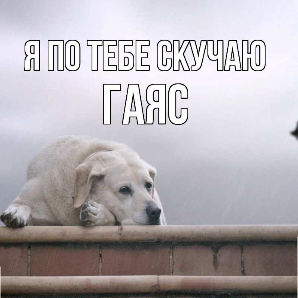 Открытка на каждый день с именем, Гаяс Я по тебе скучаю ждет Прикольная открытка с пожеланием онлайн скачать бесплатно 