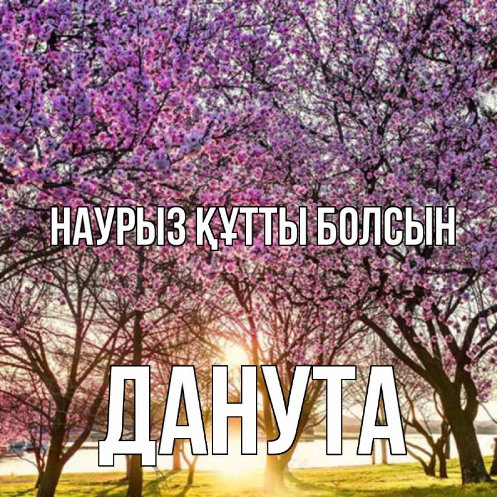 Открытка на каждый день с именем, Данута Наурыз құтты болсын наурыз Прикольная открытка с пожеланием онлайн скачать бесплатно 