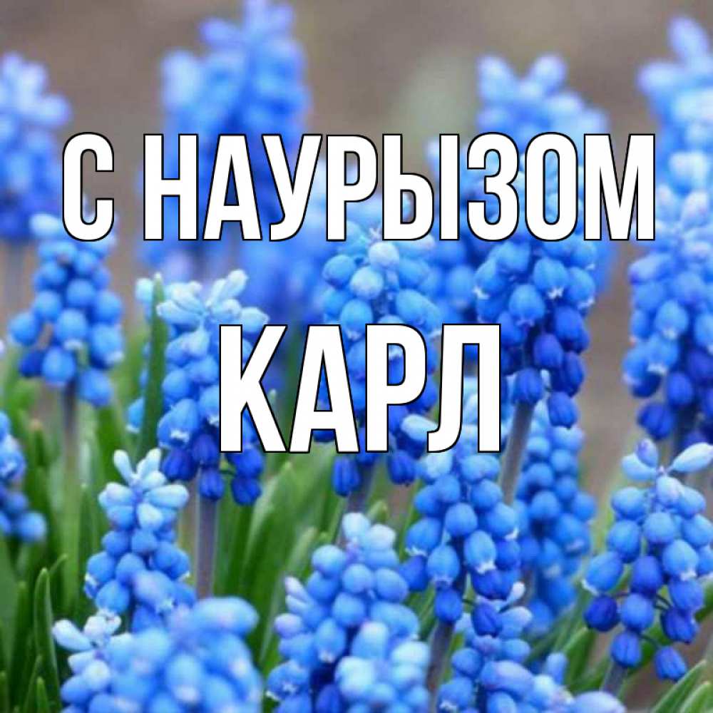 Открытка на каждый день с именем, Карл С наурызом Поздравительная открытка для женщин с цветами на праздничную дату Прикольная открытка с пожеланием онлайн скачать бесплатно 