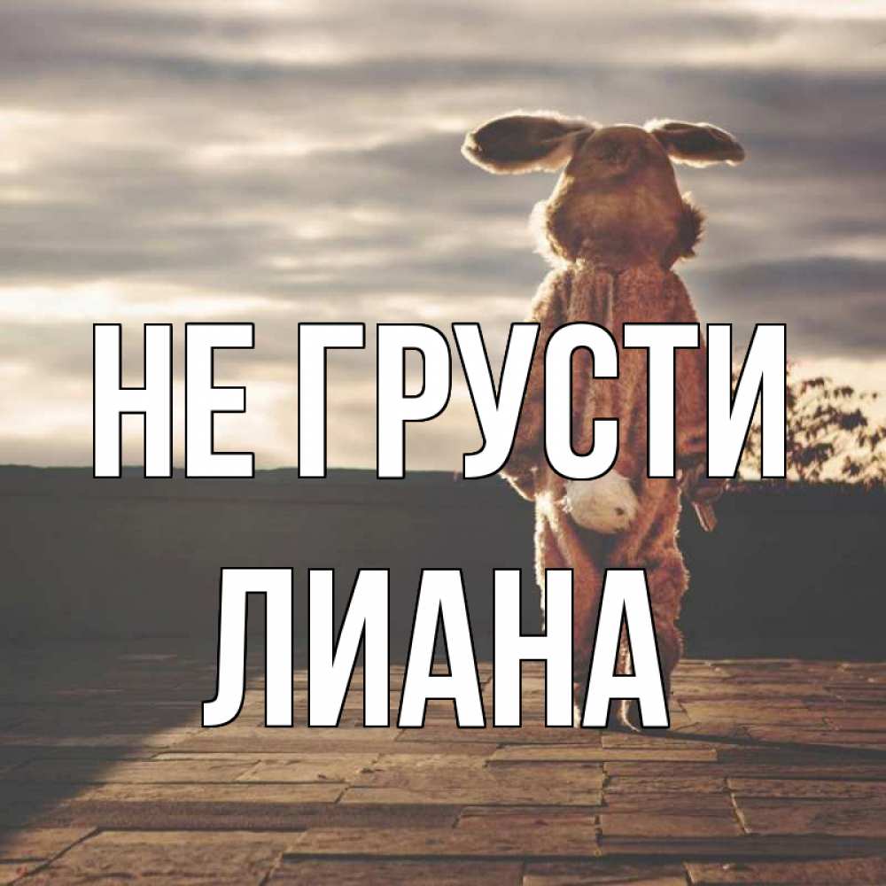 Открытка на каждый день с именем, Лиана Не грусти со спины Прикольная открытка с пожеланием онлайн скачать бесплатно 