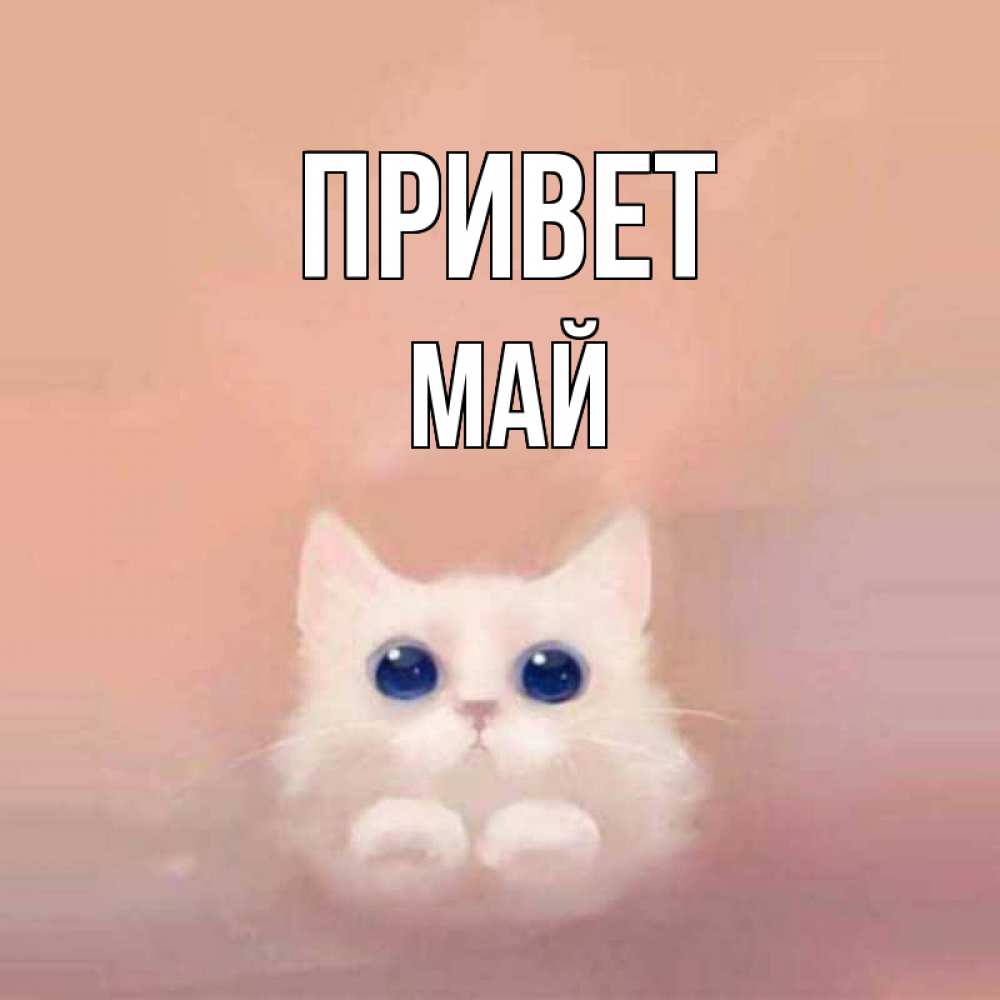 Открытка на каждый день с именем, Май Привет котик белый в полете Прикольная открытка с пожеланием онлайн скачать бесплатно 