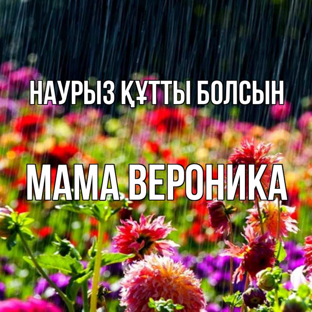 Открытка на каждый день с именем, Мама-Вероника Наурыз құтты болсын цветы под дождиком к наурызу Прикольная открытка с пожеланием онлайн скачать бесплатно 