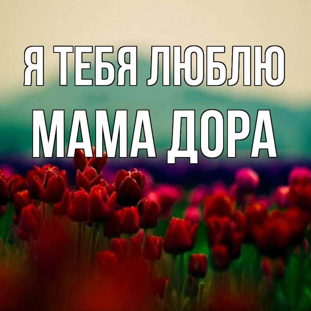 Открытка на каждый день с именем, Мама-Дора Я тебя люблю тюльпаны 4 Прикольная открытка с пожеланием онлайн скачать бесплатно 
