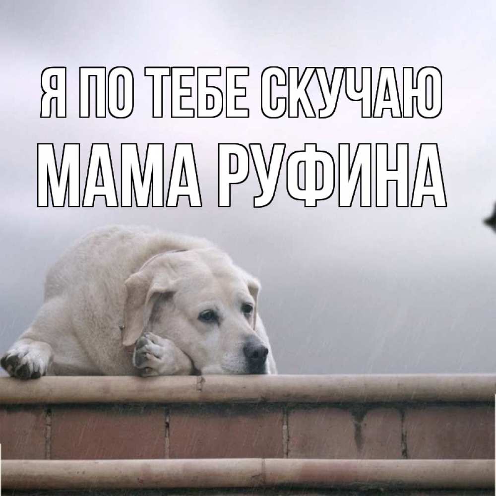 Открытка на каждый день с именем, Мама-Руфина Я по тебе скучаю ждет Прикольная открытка с пожеланием онлайн скачать бесплатно 